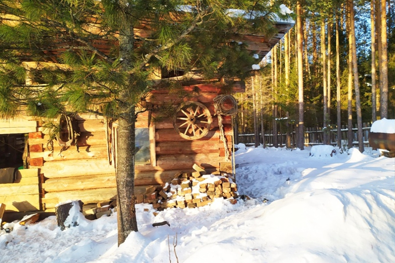 Когда оживает Баронское