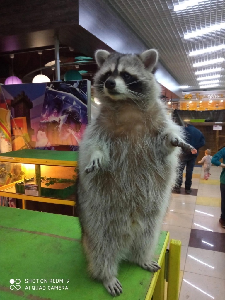 0PiOxB-kTmc.jpg 0PiOxB-kTmc.jpg
