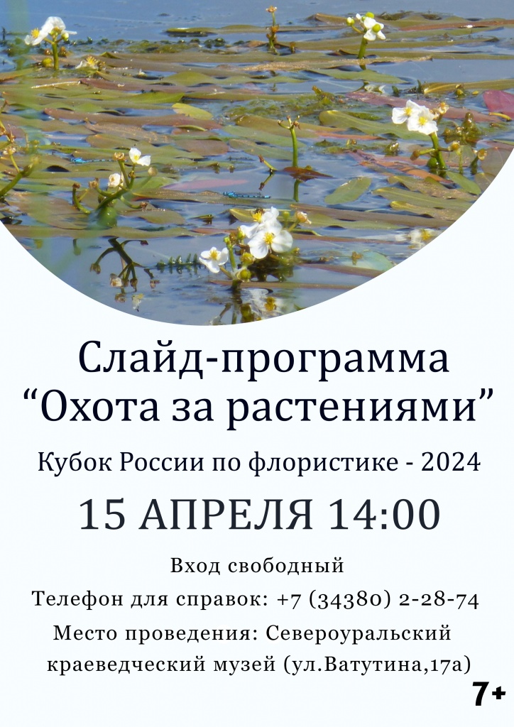 Слайд программа.jpg Слайд программа.jpg