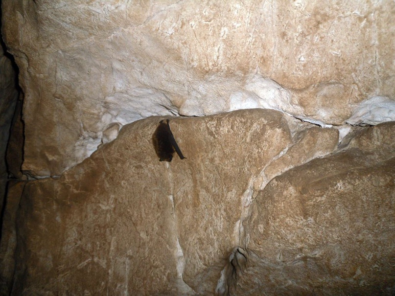 KNyUDAnUbhw.jpg