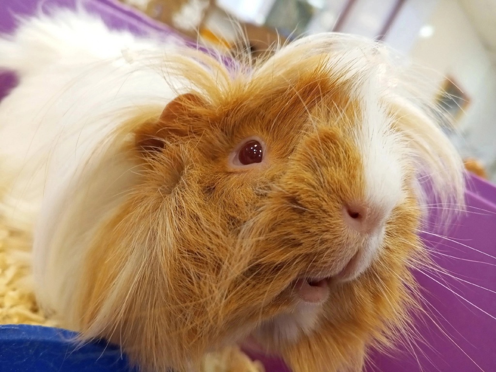 Xb9qRxsPJX4.jpg Xb9qRxsPJX4.jpg