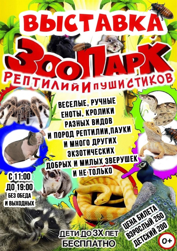 SDFuSEChOZ0.jpg SDFuSEChOZ0.jpg
