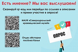Довольны ли вы работой музея?