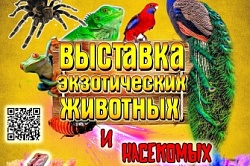 Выставка экзотических животных и насекомых