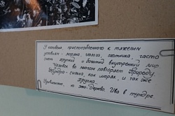 Фотовыставка "Волшебный лес"